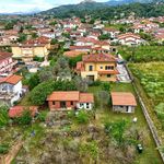 content-gallery-6-large