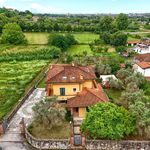 content-gallery-6-large