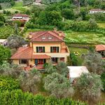 content-gallery-6-large