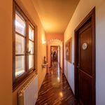 content-gallery-6-large