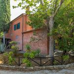 content-gallery-6-large