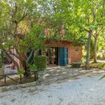 content-gallery-6-large