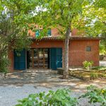 content-gallery-6-large