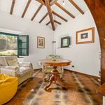 content-gallery-6-large