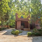 content-gallery-6-large