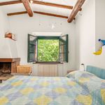 content-gallery-6-large