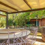 content-gallery-6-large