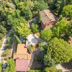 content-gallery-6-large