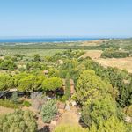 content-gallery-6-large