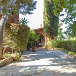 content-gallery-6-large