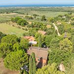 content-gallery-6-large