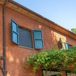 content-gallery-6-large