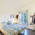 content-gallery-6-large