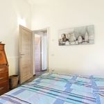 content-gallery-6-large