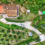 content-gallery-6-large