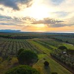 content-gallery-6-large