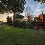 content-gallery-6-large