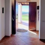 content-gallery-6-large