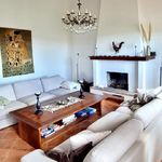 content-gallery-6-large