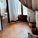 content-gallery-6-large