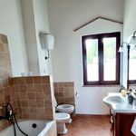 content-gallery-6-large