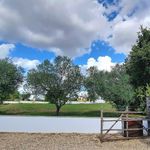 content-gallery-6-large