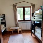 content-gallery-6-large