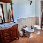 content-gallery-6-large