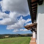 content-gallery-6-large