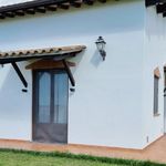 content-gallery-6-large