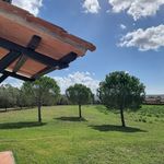 content-gallery-6-large