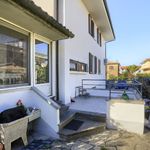 content-gallery-6-large