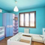 content-gallery-6-large