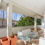 content-gallery-6-large