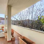 content-gallery-6-large