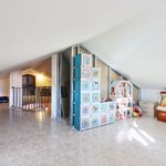 content-gallery-6-large