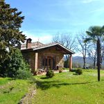 content-gallery-6-large