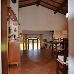 content-gallery-6-large