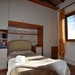 content-gallery-6-large
