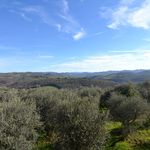 content-gallery-6-large