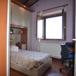 content-gallery-6-large