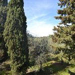 content-gallery-6-large