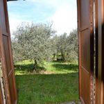 content-gallery-6-large