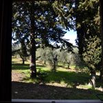 content-gallery-6-large