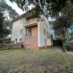 content-gallery-6-large