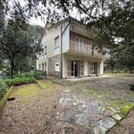 content-gallery-6-large