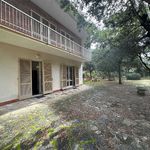 content-gallery-6-large