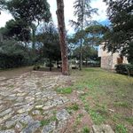 content-gallery-6-large