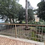 content-gallery-6-large