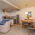 content-gallery-6-large